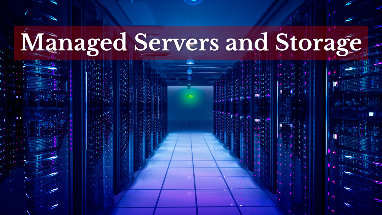 MANAGED SERVICES (Volume IV)