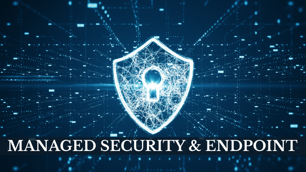 MANAGED SERVICES (Volume VI)